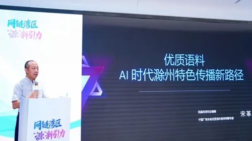 网链“湾区”，滁州这波“新引力”绝了！(图13)