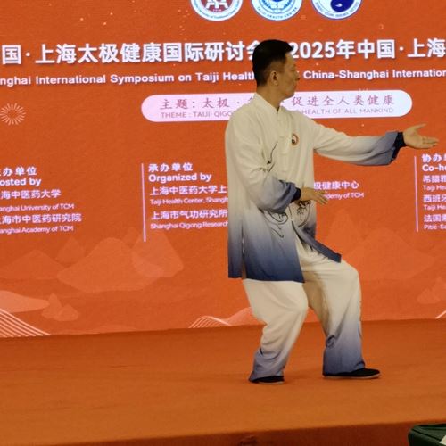 古氏太极在上海太极健康国际研讨会获青睐(图5)