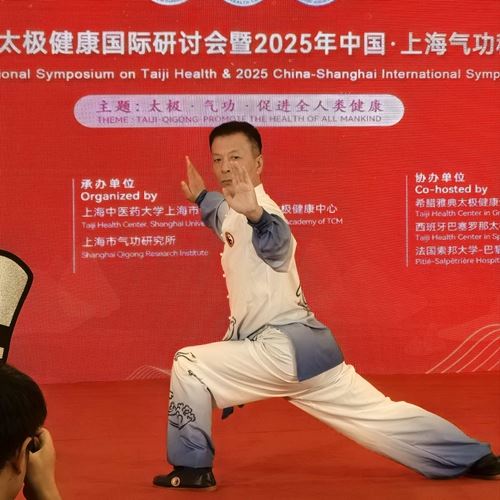 古氏太极在上海太极健康国际研讨会获青睐(图4)