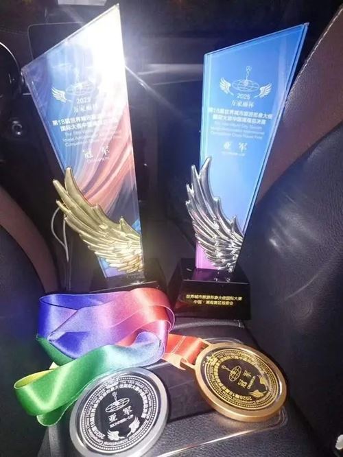 武冈双胞胎姐妹在国际大赛中夺冠，精彩收官！(图8)