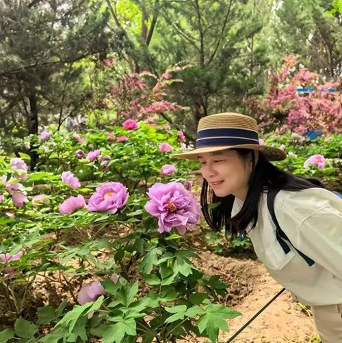 长沙市美协国画艺委会走进湘西龙山惹巴拉写生线上作品展(图32) 长沙市美协国画艺委会走进湘西龙山惹巴拉写生线上作品展(图32)