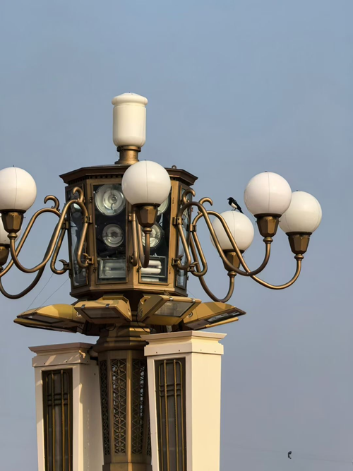 德耀阅兵场：旗帜小记者对话“北京榜样”李培义(图9)