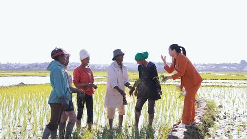 一片好膜铺就中非共富路，湖南人李洪梅激活非洲女性就业新动能(图2)