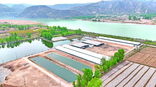 青海海东商贸发展跑出“加速度”  商贸经济交出亮眼答卷(图3)