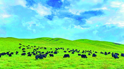 青海海东商贸发展跑出“加速度”  商贸经济交出亮眼答卷(图5)