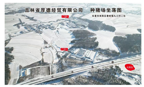 解码吉林省厚德经贸有限公司种猪场的“无抗密码”(图2)