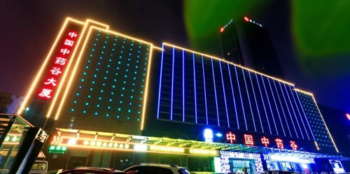 中国中药谷·鲁台青年创客中心2025年终内部音乐养生交流会(图4)