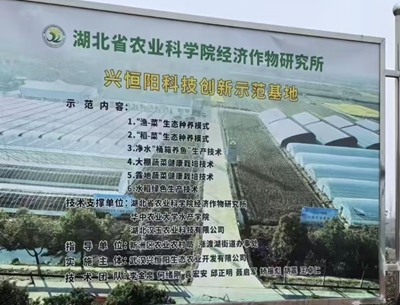 跨区域共探产业升级新路径 功能性农业与食药同源发展座谈会在鄂举行(图1) 跨区域共探产业升级新路径 功能性农业与食药同源发展座谈会在鄂举行(图1)