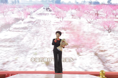 欢声笑语迎新春——霍邱县城关镇商会隆重举办迎新年庆典晚会(图4)