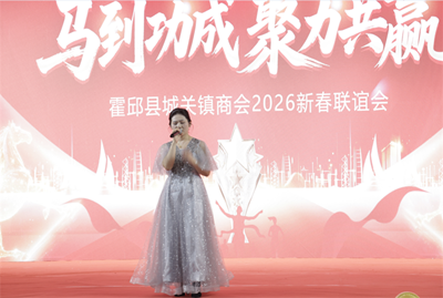 欢声笑语迎新春——霍邱县城关镇商会隆重举办迎新年庆典晚会(图8)