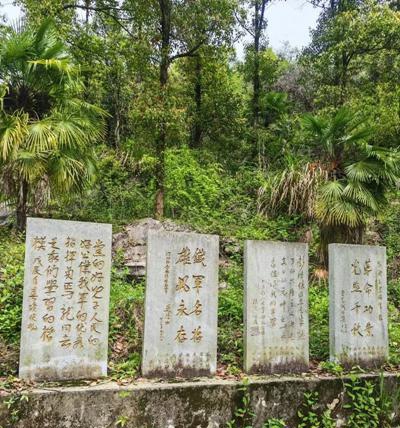青山埋忠骨 鲜花祭英魂——中国梦组委会一行赴湖北大冶南山头革命纪念馆敬献花篮 (图3)