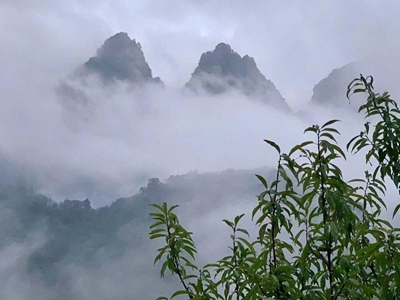 武当太极湖道养馆“三修九法”引领道养新范式 “千城万店”布局百亿大健康(图3) 武当太极湖道养馆“三修九法”引领道养新范式 “千城万店”布局百亿大健康(图3)