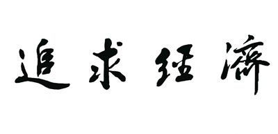 把“讲究”进行到底 ——“追求经济全球沙龙”在合肥举办(图3)