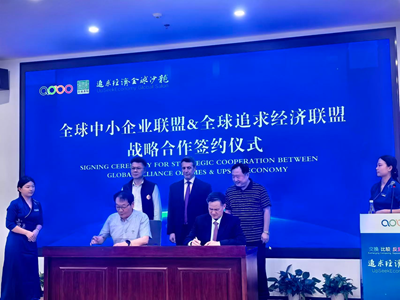 把“讲究”进行到底 ——“追求经济全球沙龙”在合肥举办(图5)
